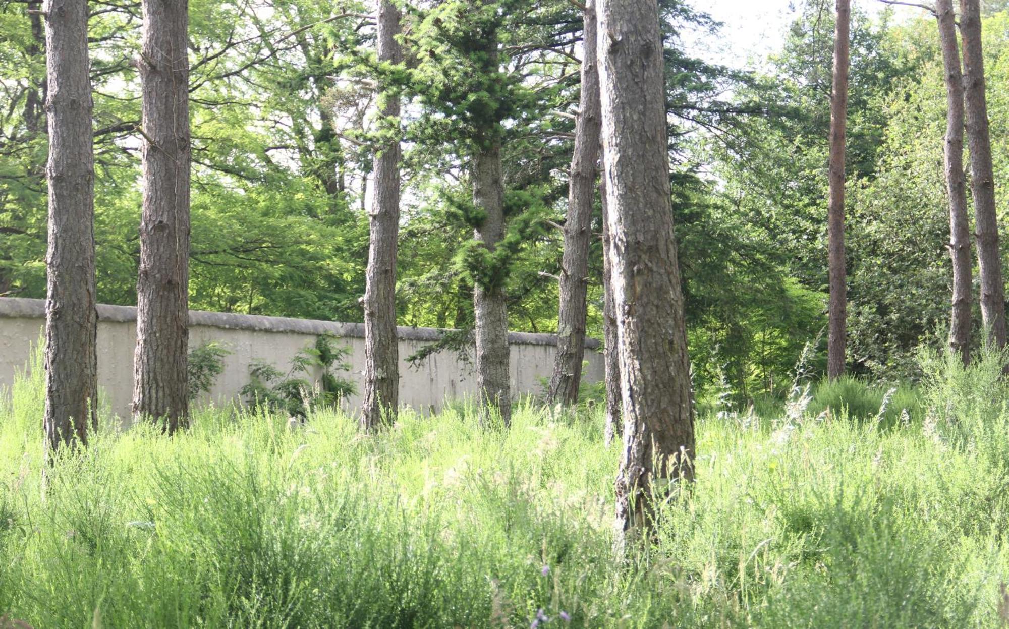Villa Le Refuge De Chambord à Thoury Extérieur photo